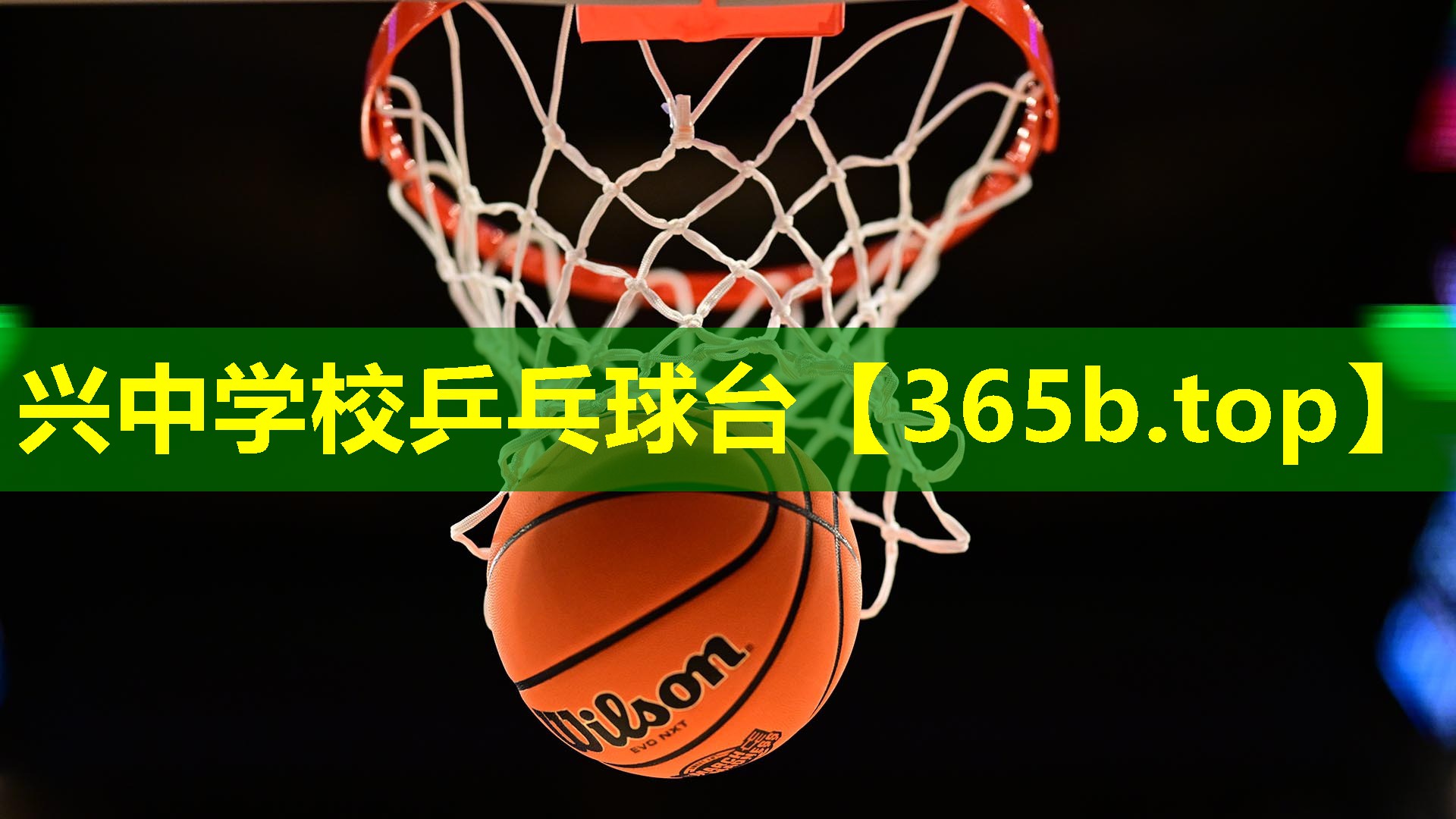 兴中学校乒乓球台 兴中学校乒乓球台