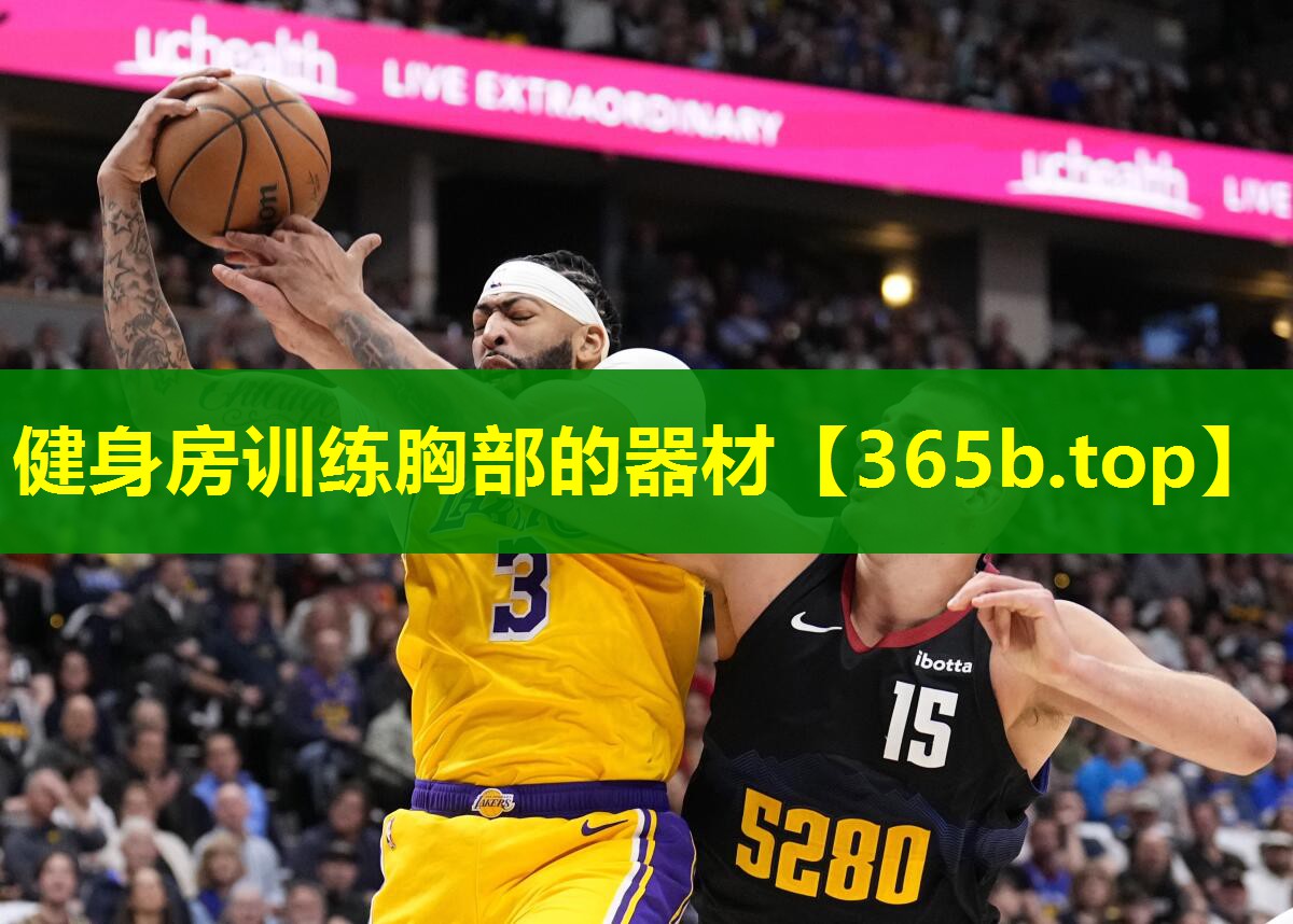 健身房训练胸部的器材 健身房训练胸部的器材