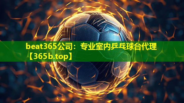专业室内乒乓球台代理 专业室内乒乓球台代理