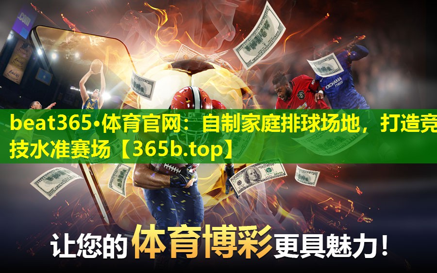 自制家庭排球场地,打造竞技水准赛场 自制家庭排球场地,打造竞技水准赛场