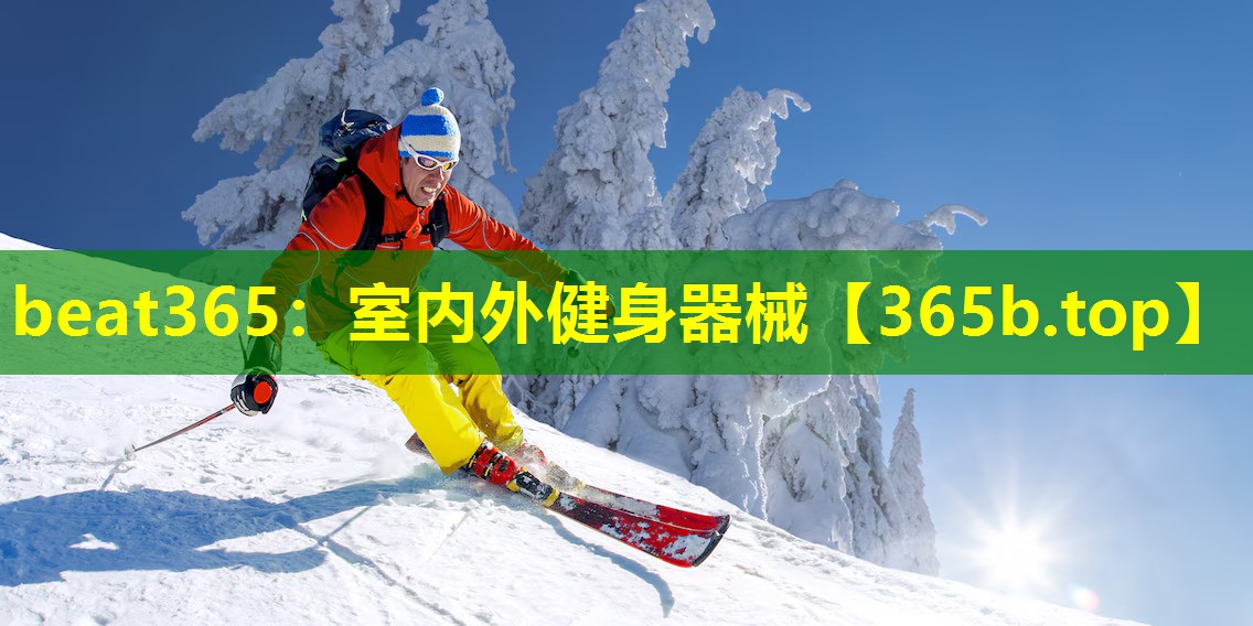 室内外健身器械 室内外健身器械