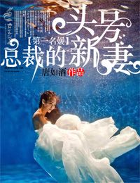 第一名媛总裁的头号新妻目录