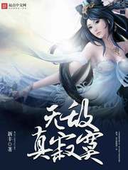 无敌真寂寞新丰境界划分