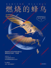 燃烧的蜂鸟同名书籍