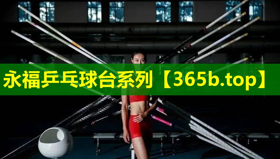 永福乒乓球台系列 永福乒乓球台系列