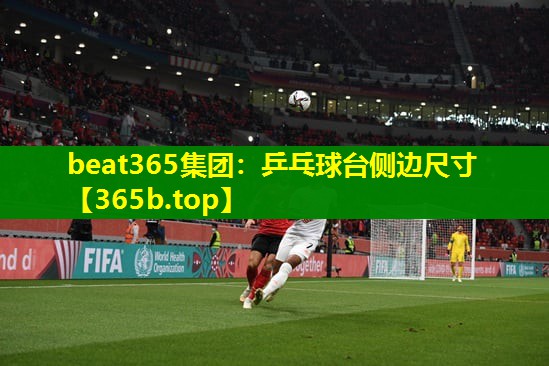乒乓球台侧边尺寸 乒乓球台侧边尺寸