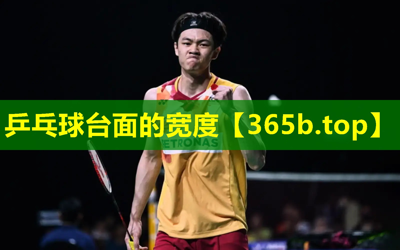 乒乓球台面的宽度 乒乓球台面的宽度